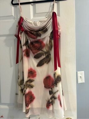 Kimchi Blue Sheer Slip Dress with Red and Green Floral Print